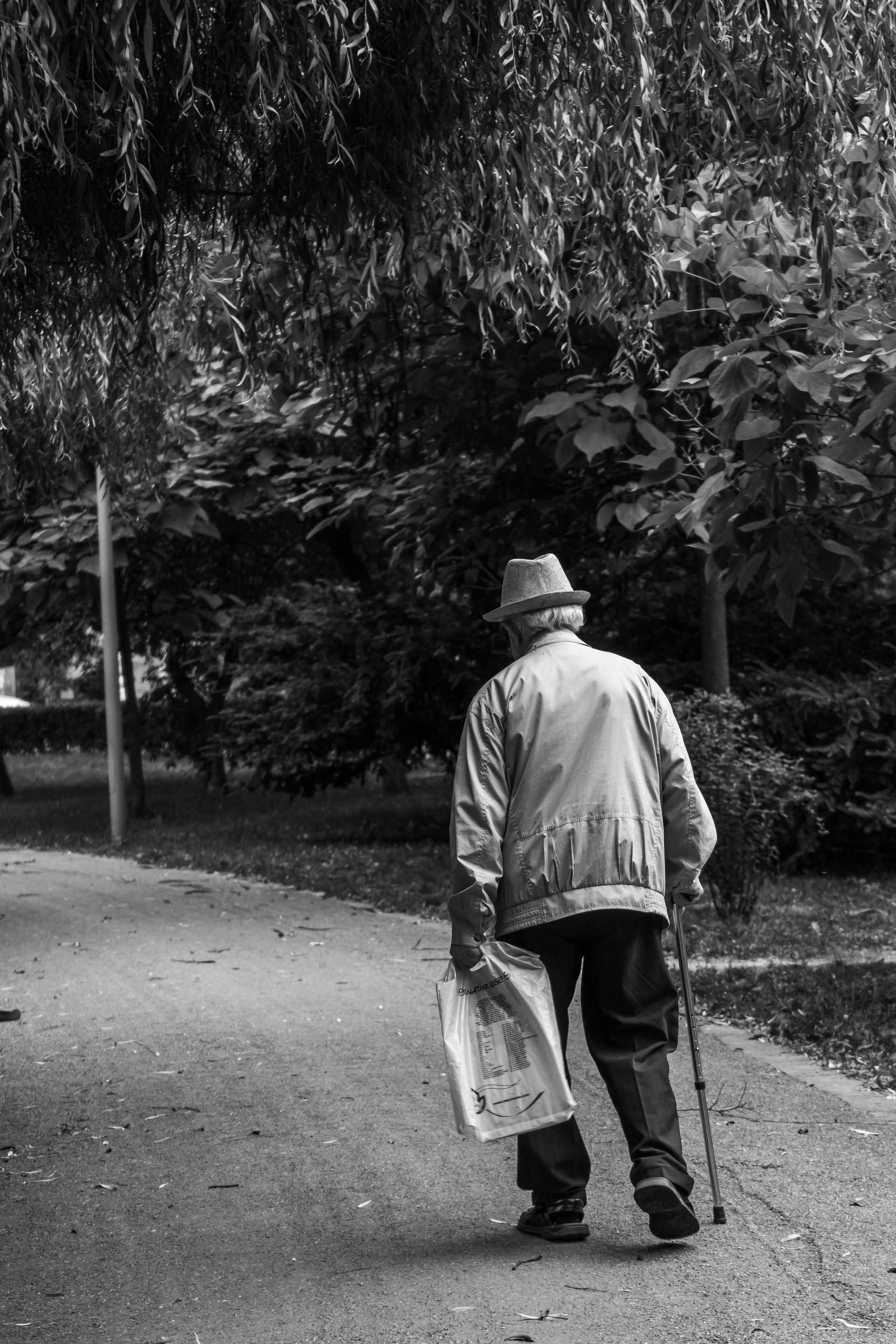 health-equity-and-older-texans-texas-impact
