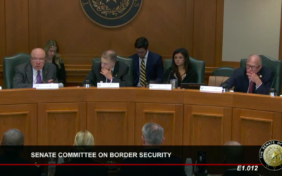 Texas Senate Committee on Border Security Investigates Operation Lone Star