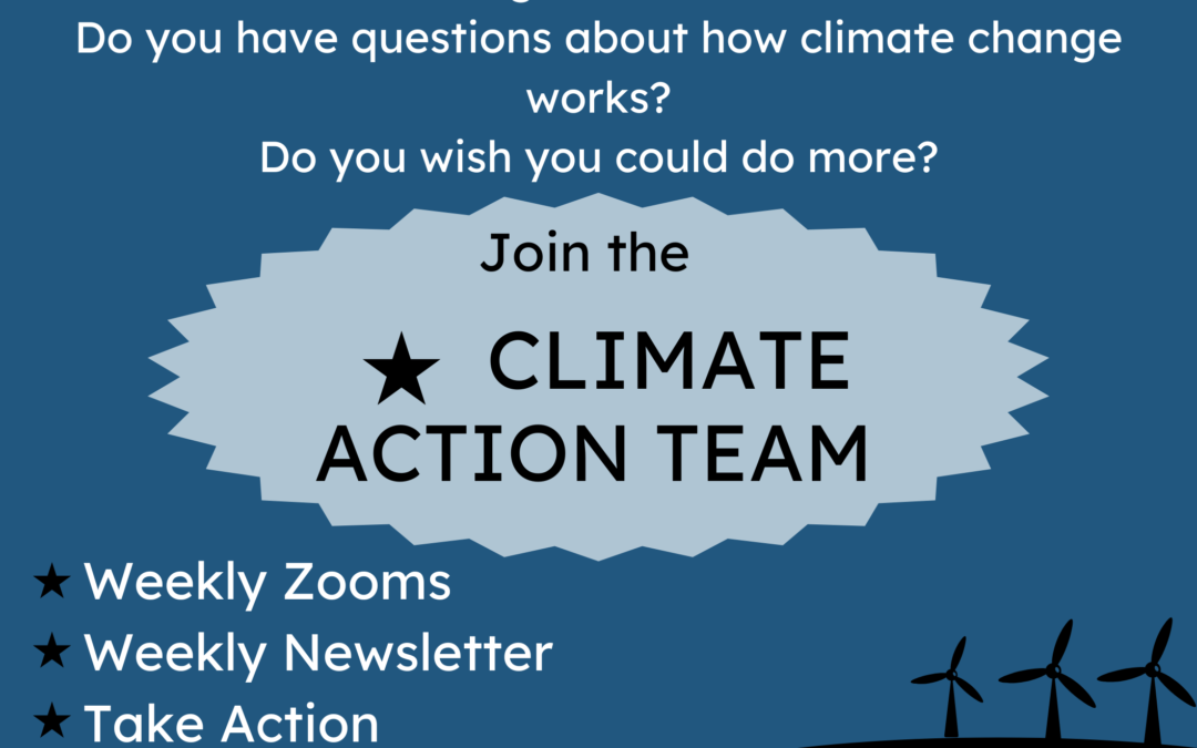 Texas Impact Climate Action Team