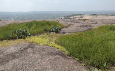 Texas Springtime Weather Roundup: Memorial Day Haze