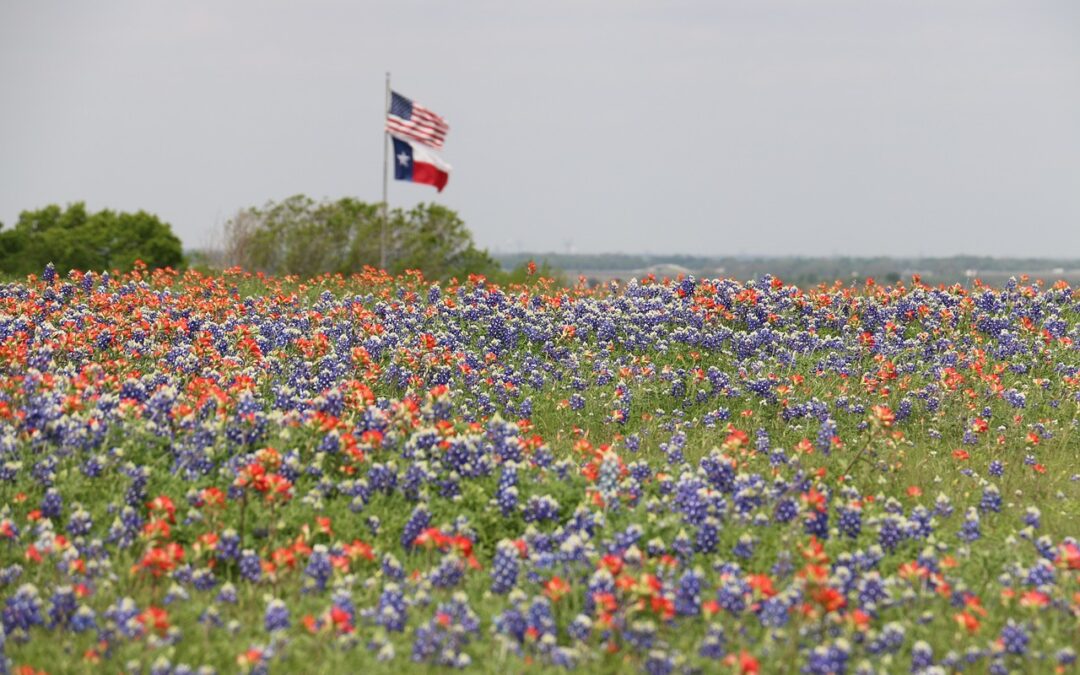 Severe and Disruptive Weather in Texas May Roundup